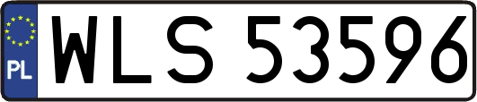 WLS53596