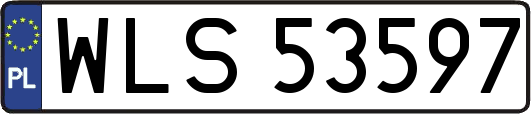 WLS53597