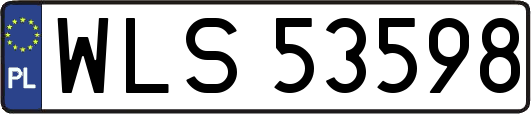 WLS53598