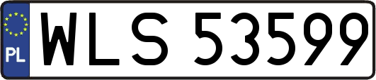 WLS53599