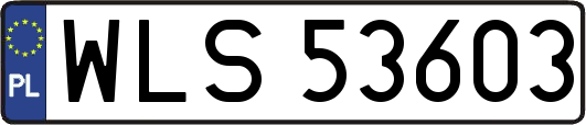 WLS53603
