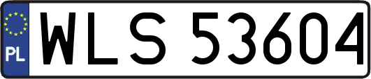 WLS53604