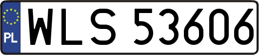 WLS53606