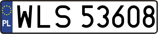 WLS53608