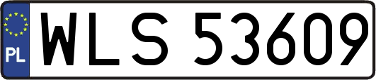 WLS53609