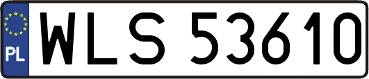 WLS53610