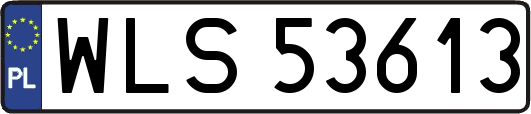 WLS53613