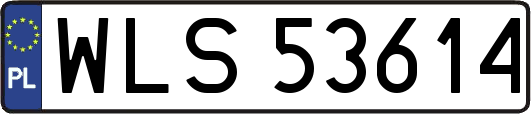 WLS53614