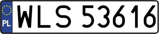 WLS53616