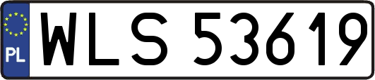 WLS53619