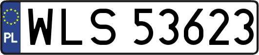 WLS53623