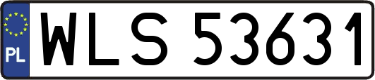 WLS53631