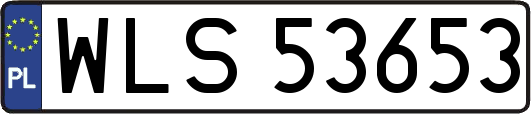 WLS53653