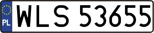 WLS53655