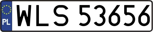 WLS53656