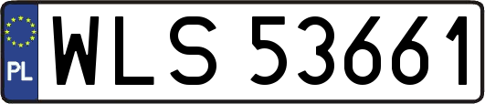 WLS53661