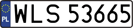 WLS53665