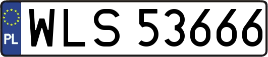 WLS53666