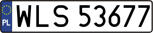 WLS53677
