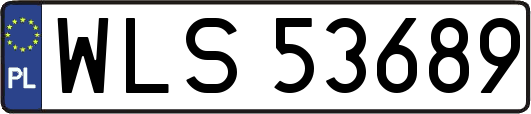 WLS53689