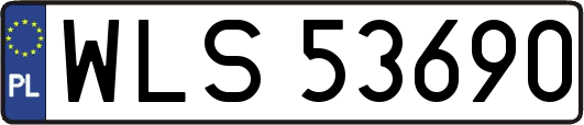 WLS53690