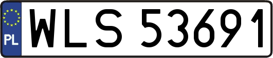 WLS53691