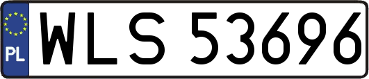 WLS53696