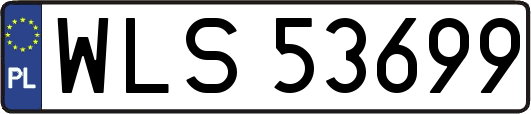 WLS53699