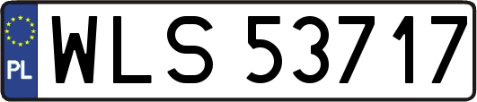 WLS53717