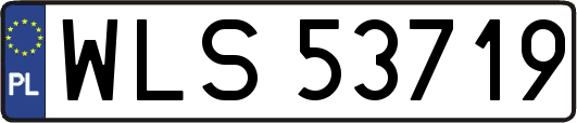 WLS53719