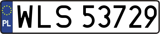 WLS53729