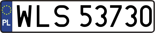WLS53730