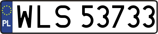 WLS53733