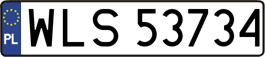 WLS53734
