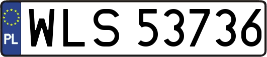 WLS53736