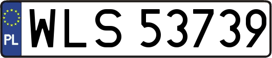 WLS53739