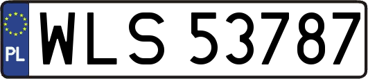 WLS53787