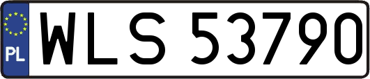 WLS53790