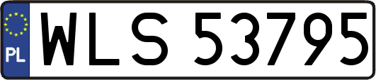 WLS53795