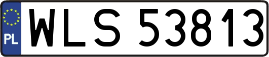 WLS53813
