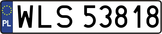WLS53818