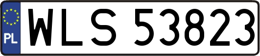 WLS53823