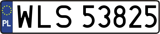 WLS53825
