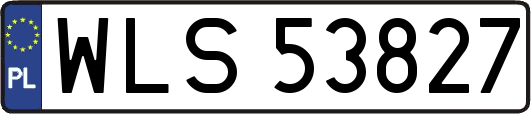 WLS53827
