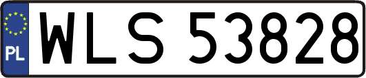 WLS53828
