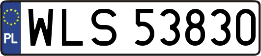 WLS53830