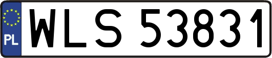 WLS53831