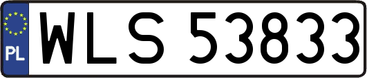WLS53833