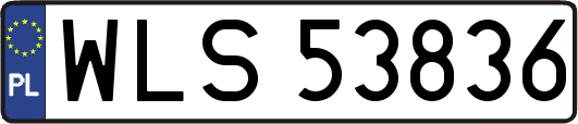 WLS53836