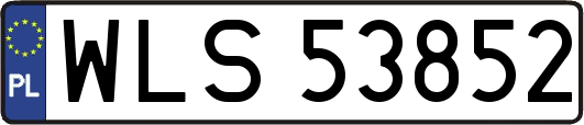 WLS53852
